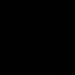 Meet your Posher, Payton